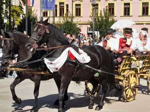 BOGATSTVO TRADICIJE U SRCU VINKOVACA: Predstavile se i hrvatske folklorne skupine iz Njemačke, Austrije, Švicarske... Vinkovačke jesni / Foto: Fenix (MT)