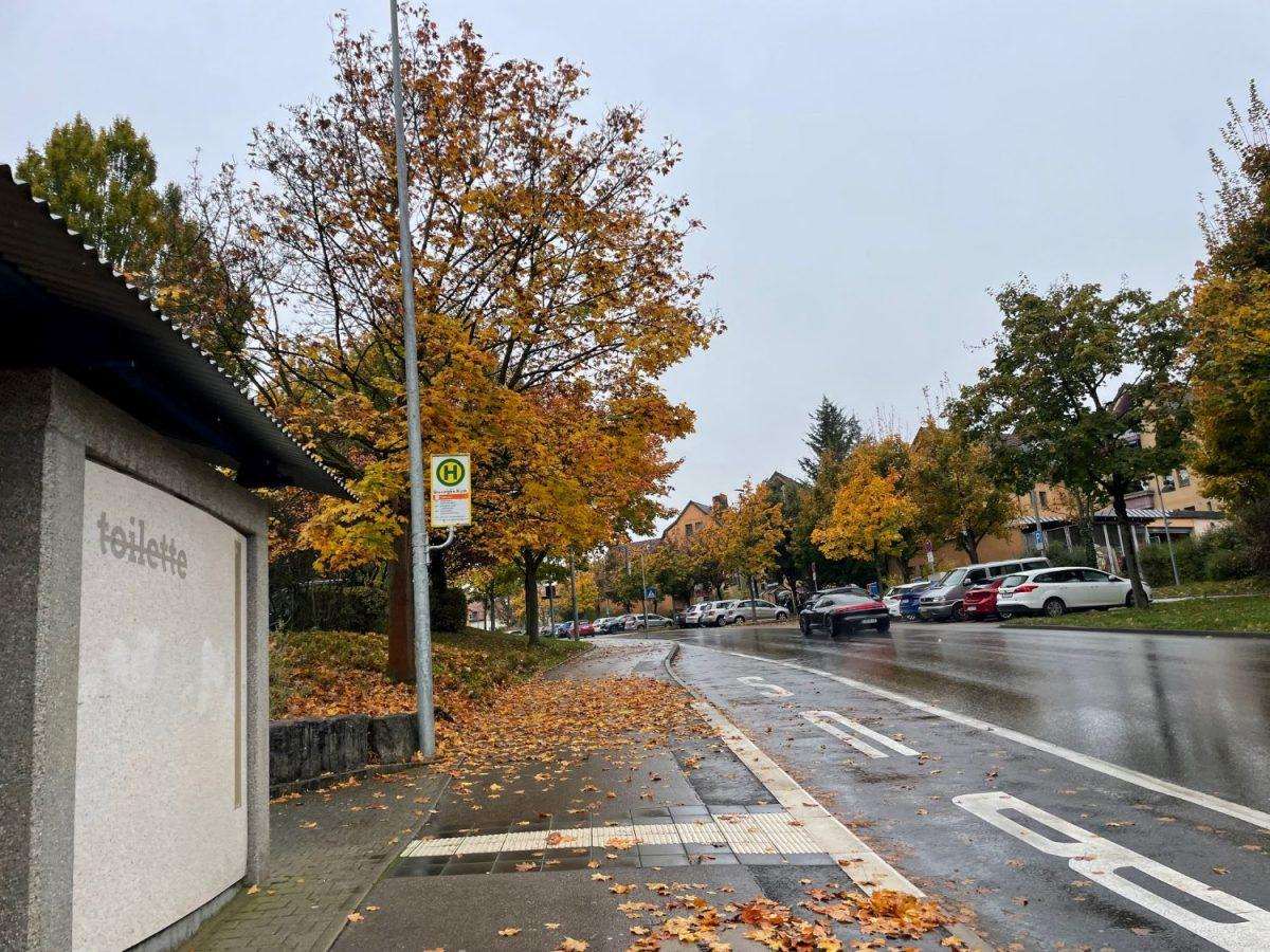 Autobusno stajalište/ Foto: Fenix (SC)