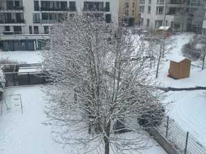 SNIJEG U HESSENU: Škole zatvorene, opasnost na cestama, promet usporen...