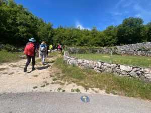 CAMINO IMOTA VIKEND 2026.: Okupili se hodočasnici iz Hrvatske, BiH, Italije i Njemačke Hodočasnički vikend / Foto: Camino Croatia